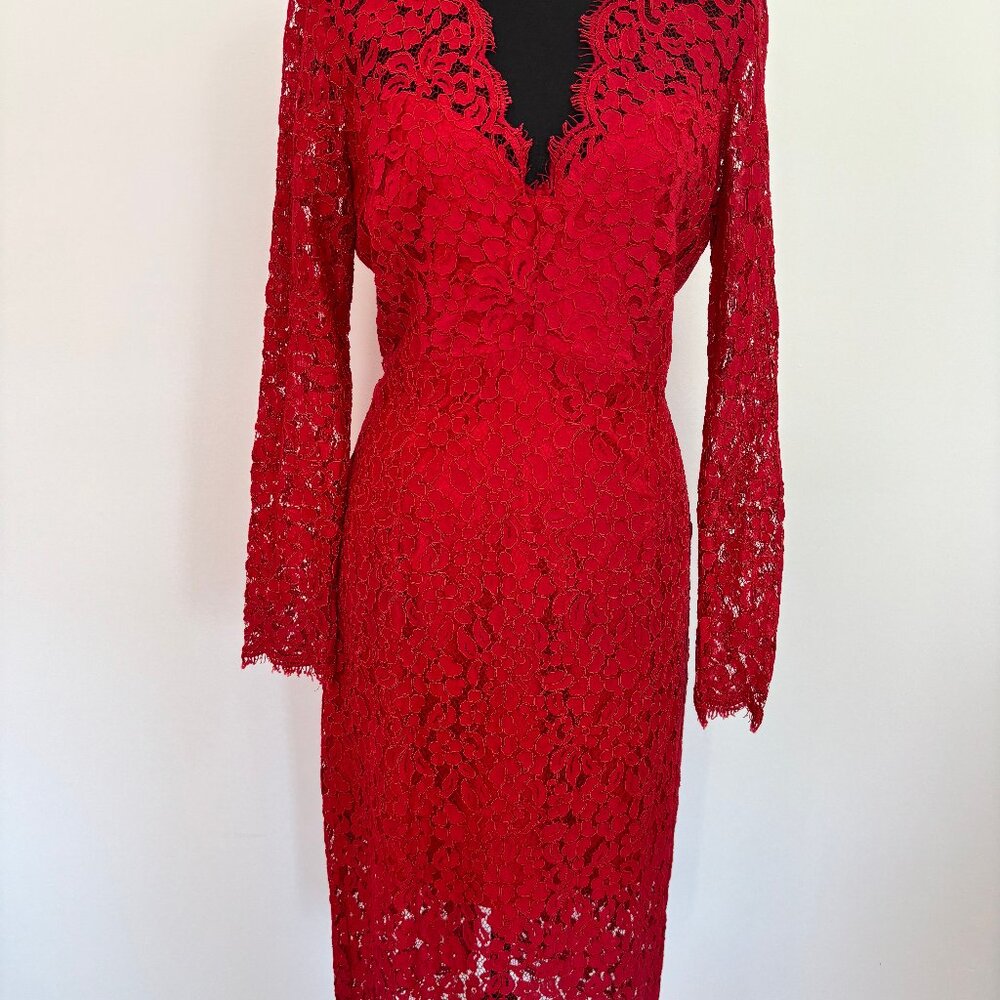 Stunning red lace overlay dress.